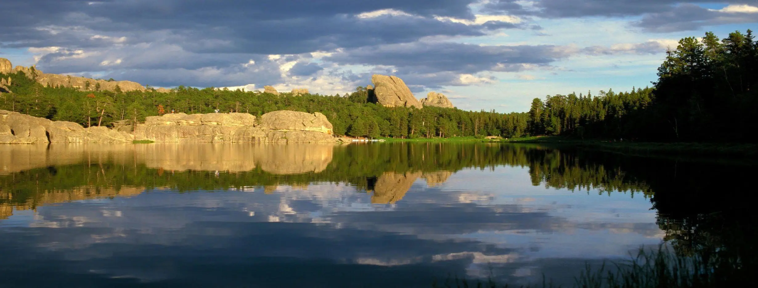 Image for Natural Beauty